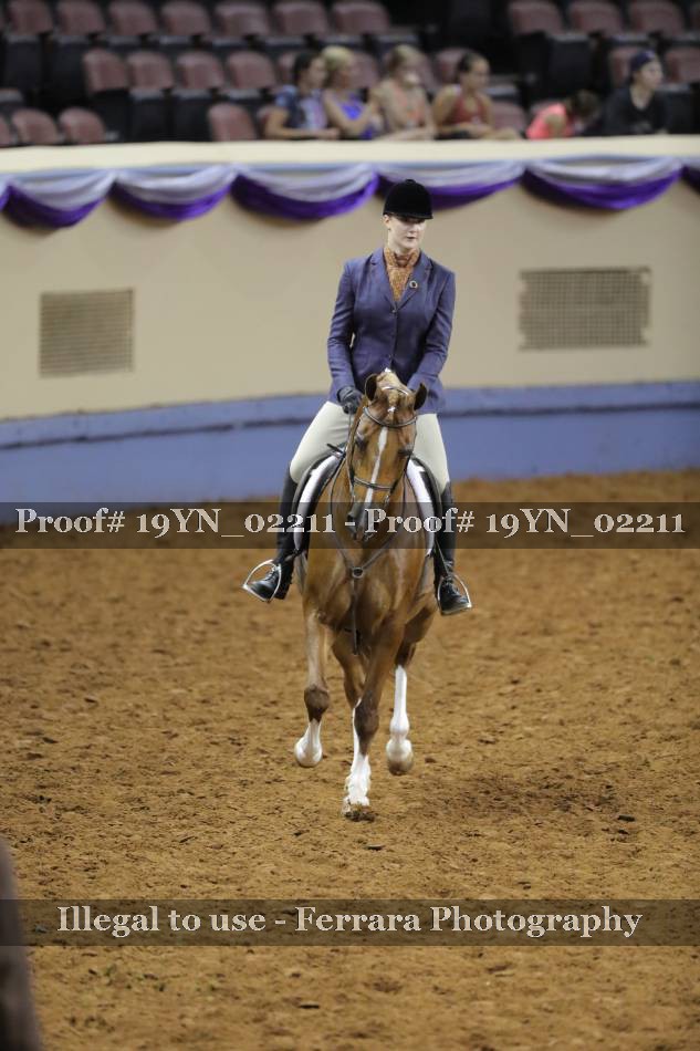 Proof 19YN_02211