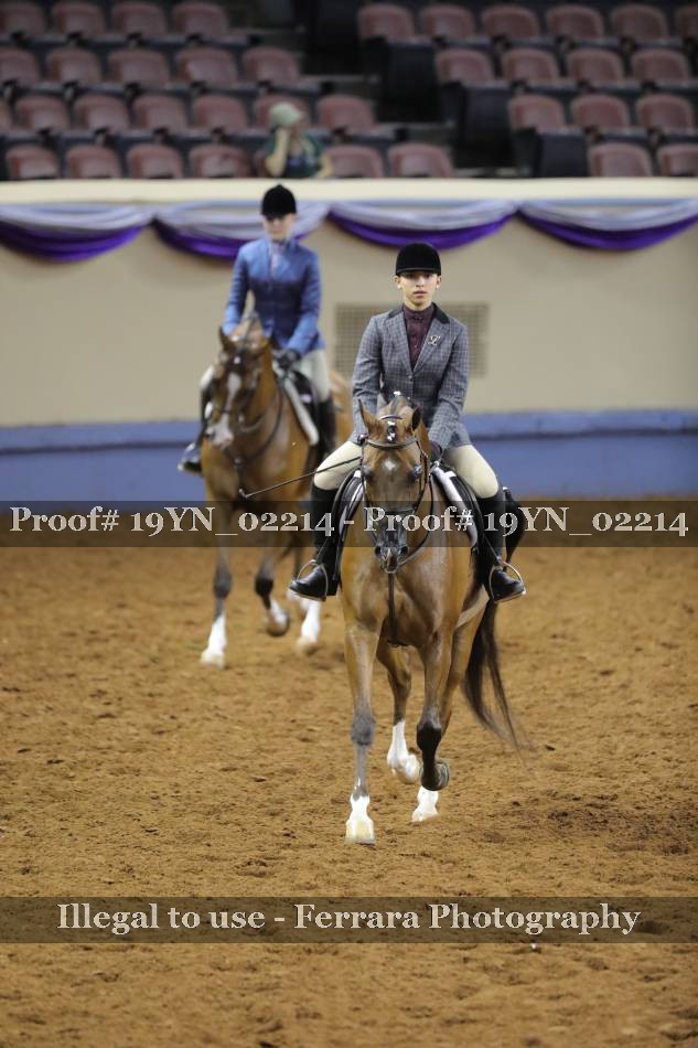 Proof 19YN_02214