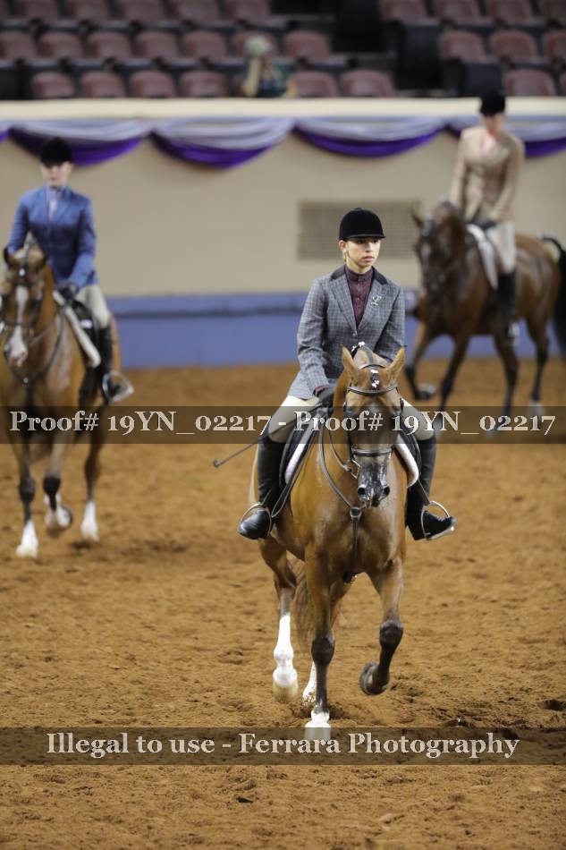 Proof 19YN_02217