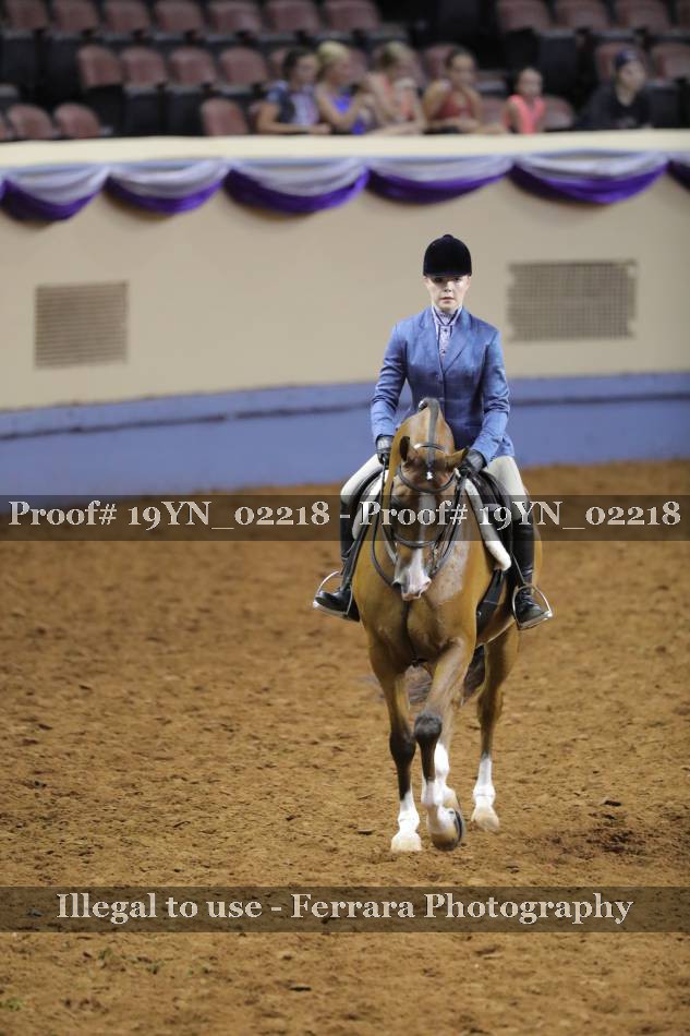 Proof 19YN_02218