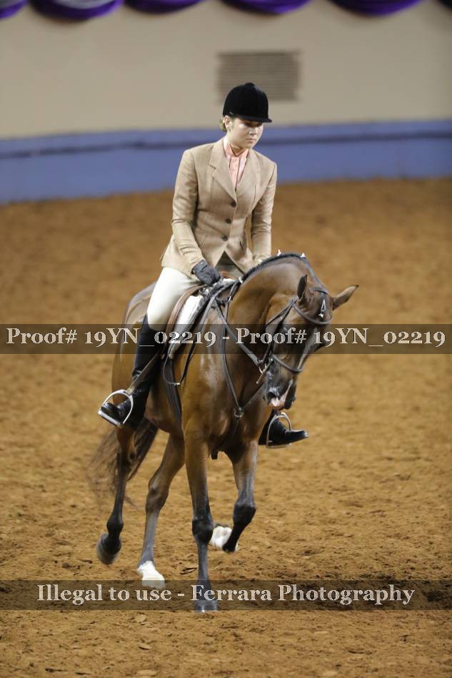 Proof 19YN_02219