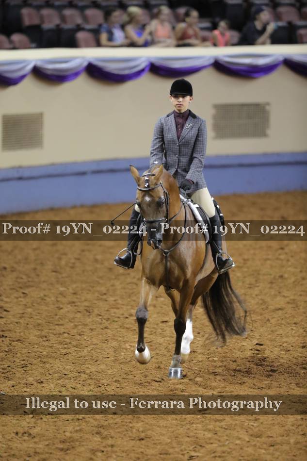 Proof 19YN_02224