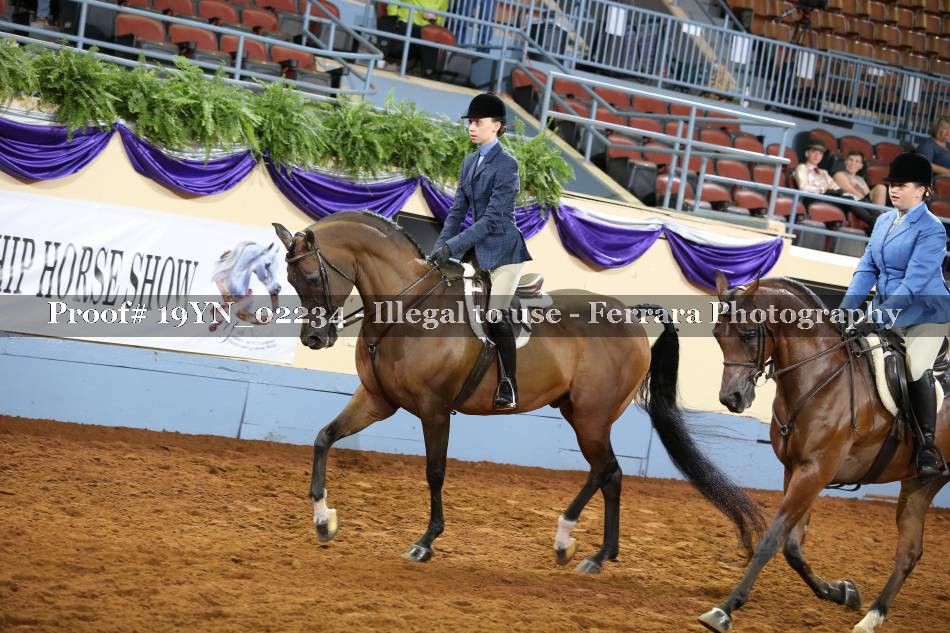 Proof 19YN_02234