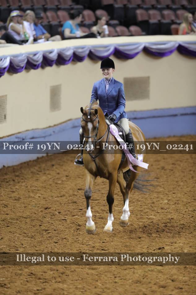 Proof 19YN_02241