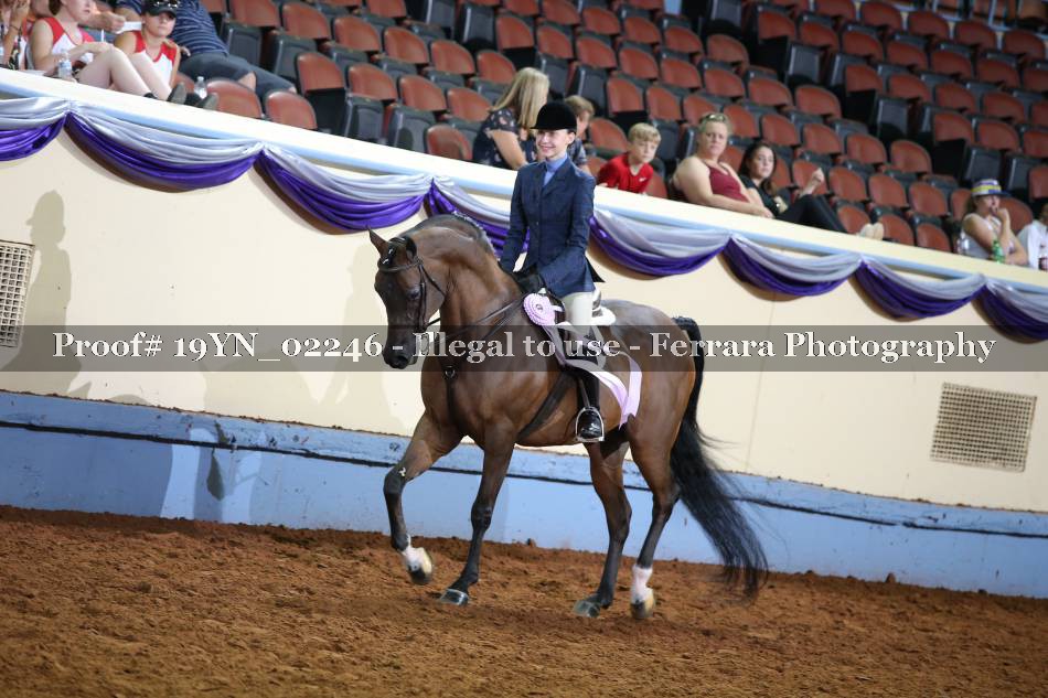 Proof 19YN_02246
