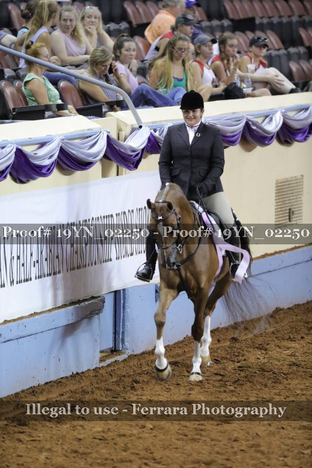 Proof 19YN_02250