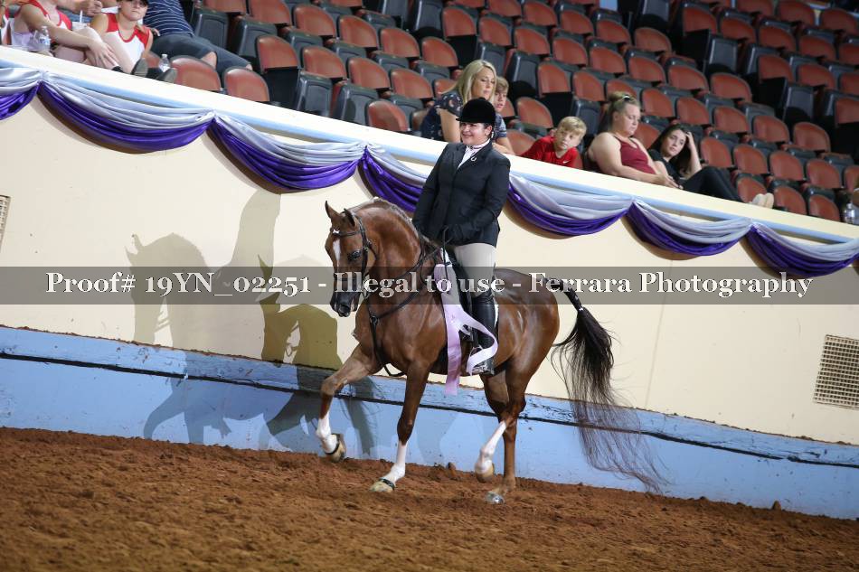 Proof 19YN_02251