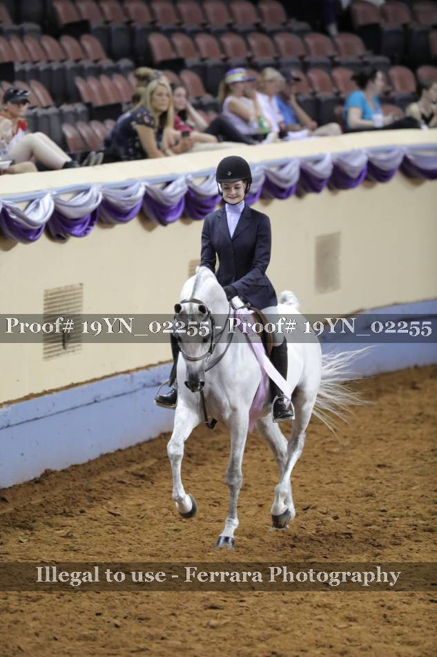 Proof 19YN_02255