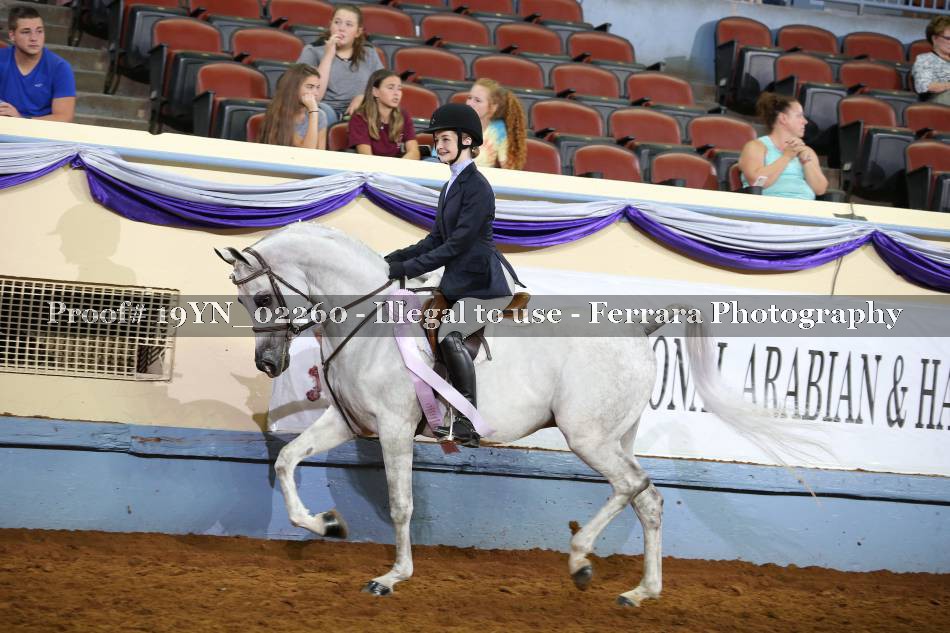 Proof 19YN_02260