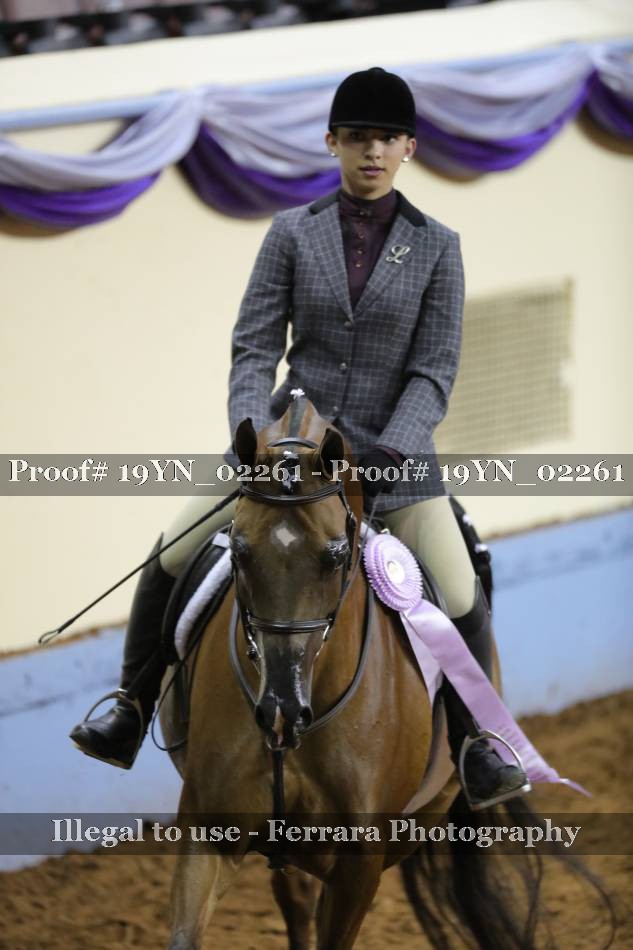 Proof 19YN_02261