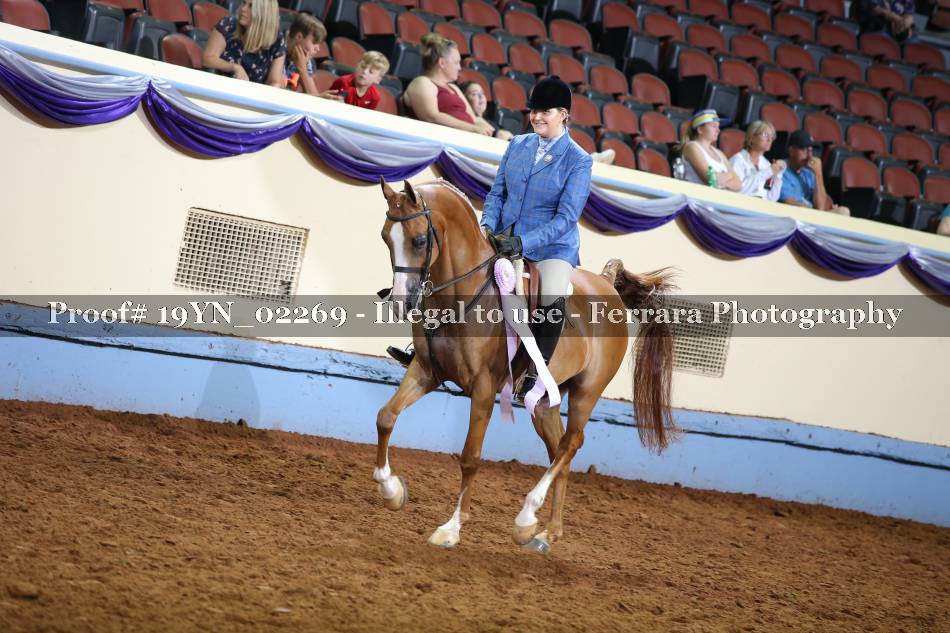 Proof 19YN_02269