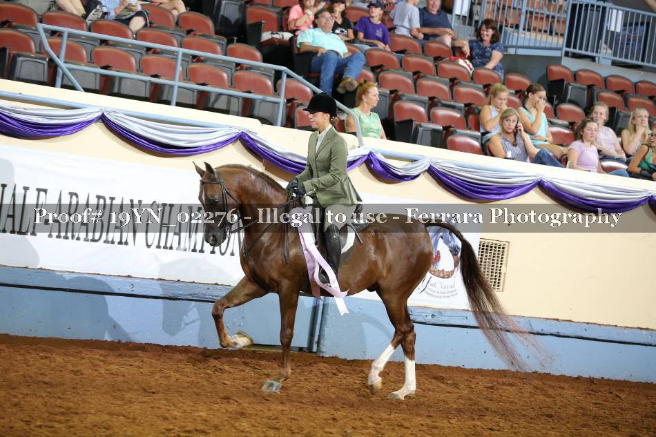 Proof 19YN_02276