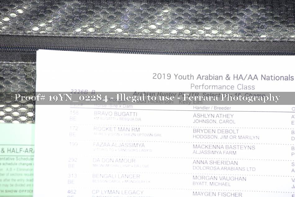 Proof 19YN_02284