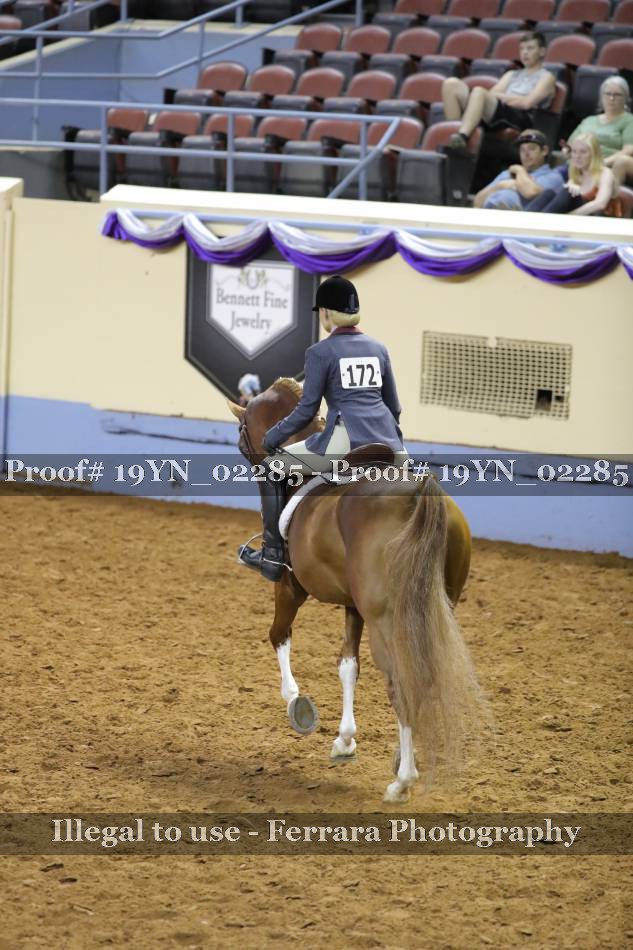Proof 19YN_02285