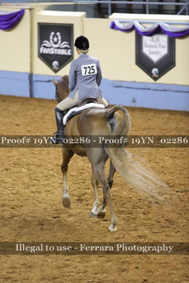 Proof 19YN_02286