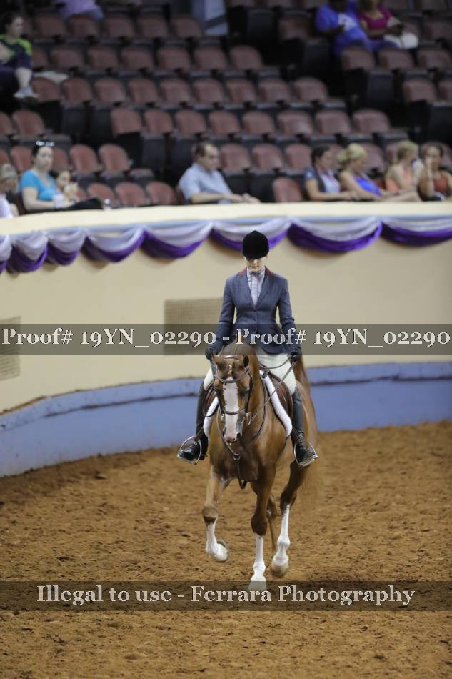 Proof 19YN_02290