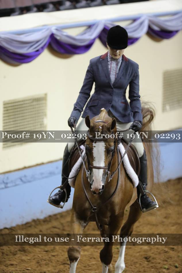 Proof 19YN_02293