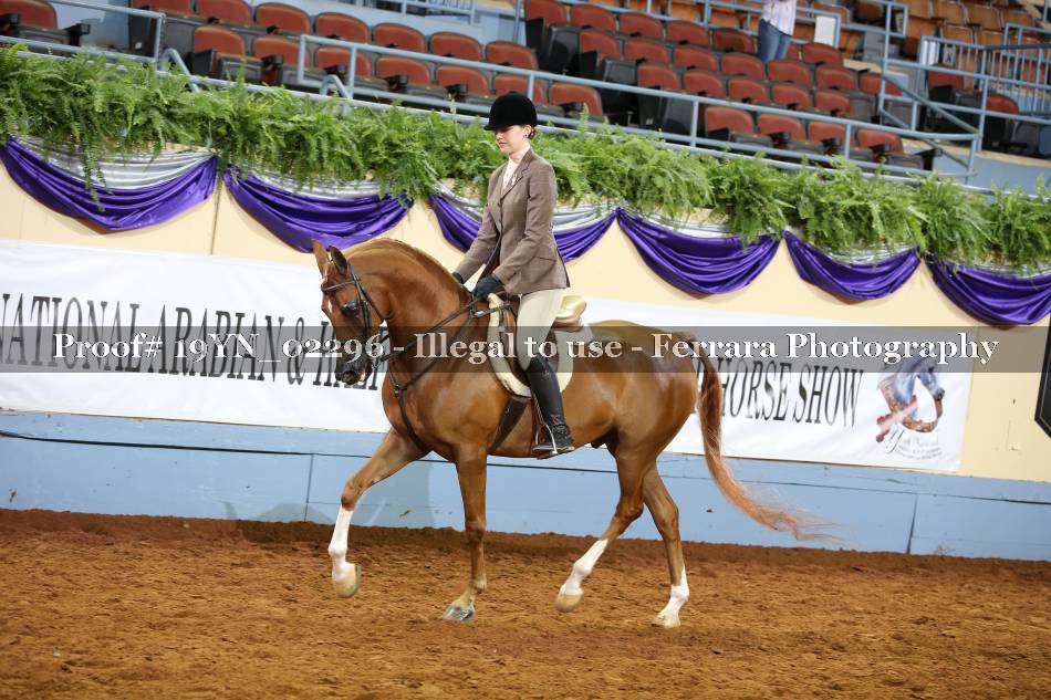 Proof 19YN_02296