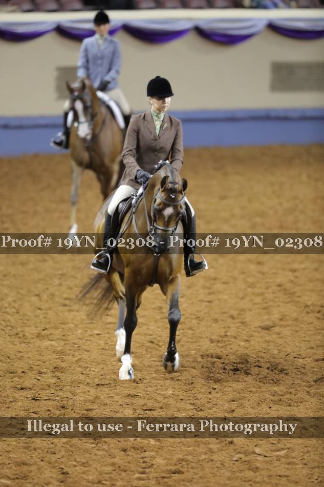 Proof 19YN_02308