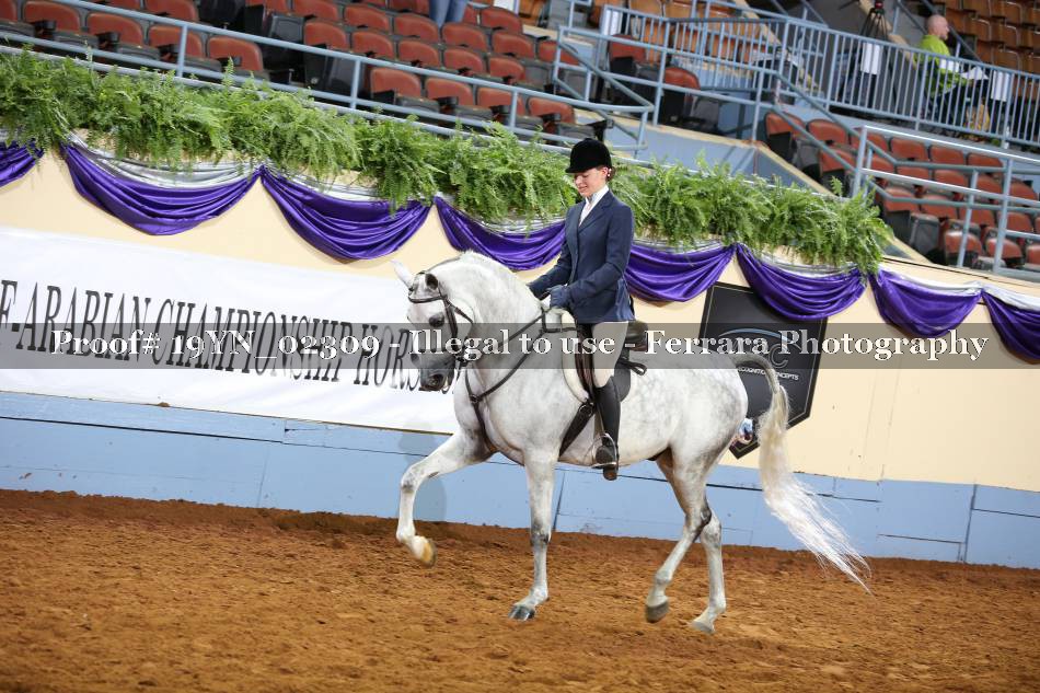 Proof 19YN_02309