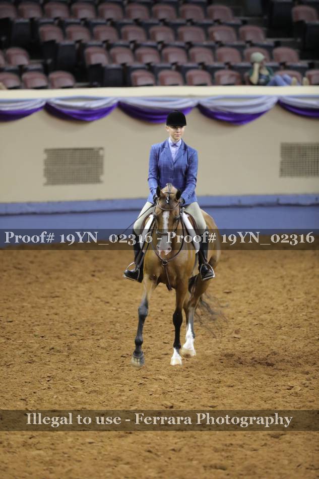 Proof 19YN_02316