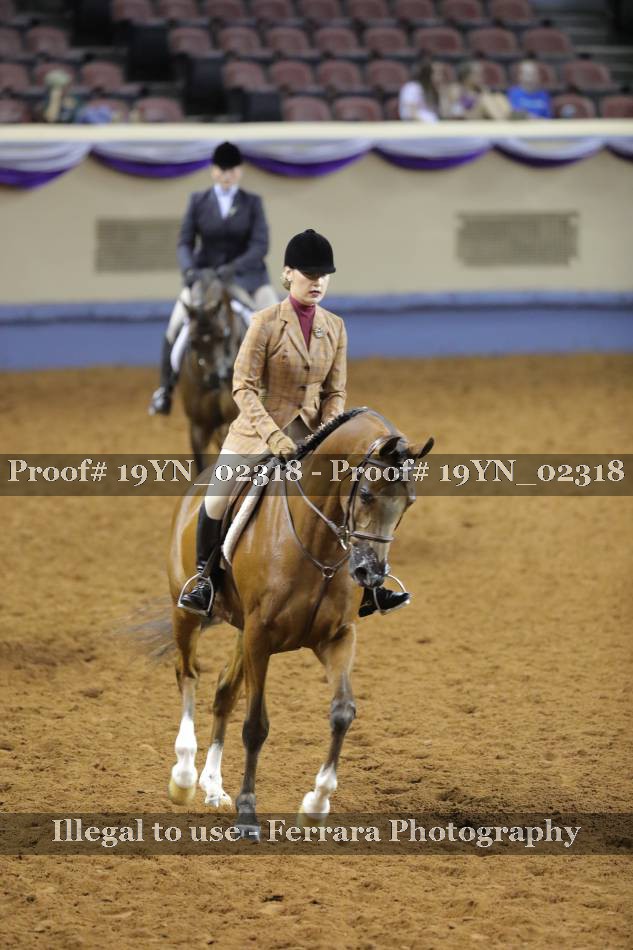 Proof 19YN_02318