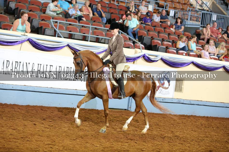 Proof 19YN_02343