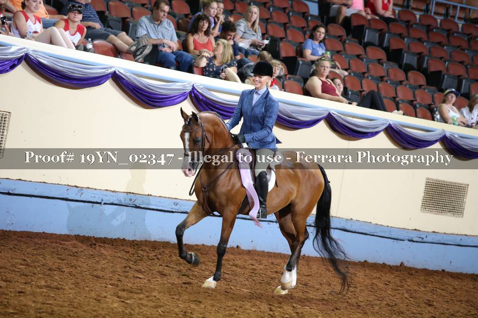 Proof 19YN_02347
