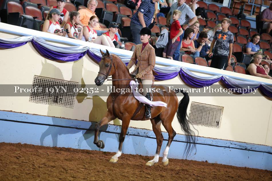 Proof 19YN_02352