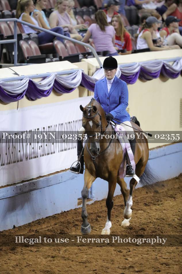 Proof 19YN_02355