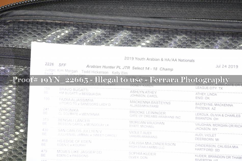 Proof 19YN_22665