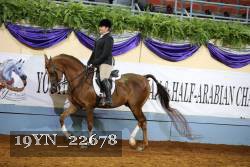 19YN_22678 proof