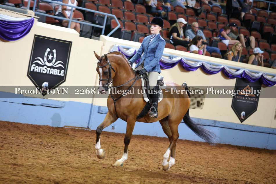 Proof 19YN_22681