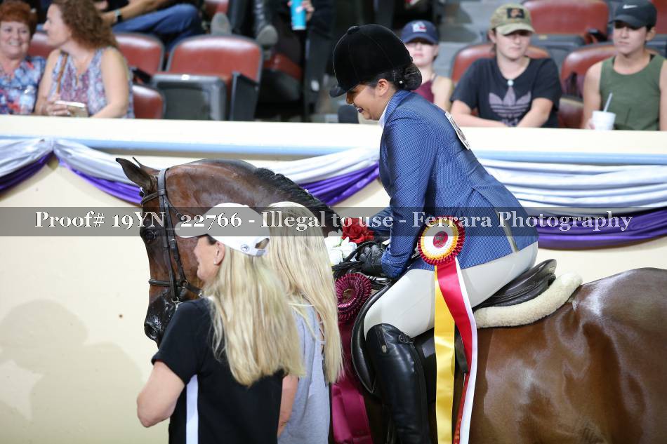 Proof 19YN_22766