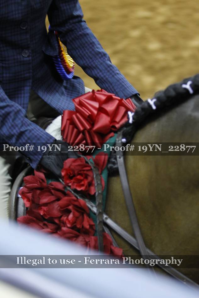 Proof 19YN_22877