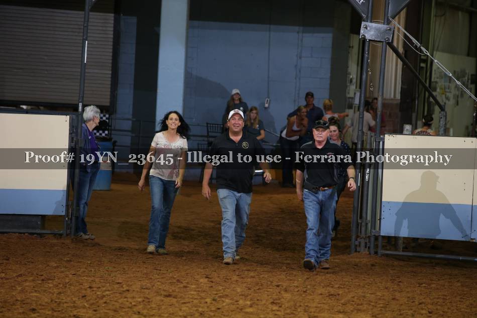 Proof 19YN_23645