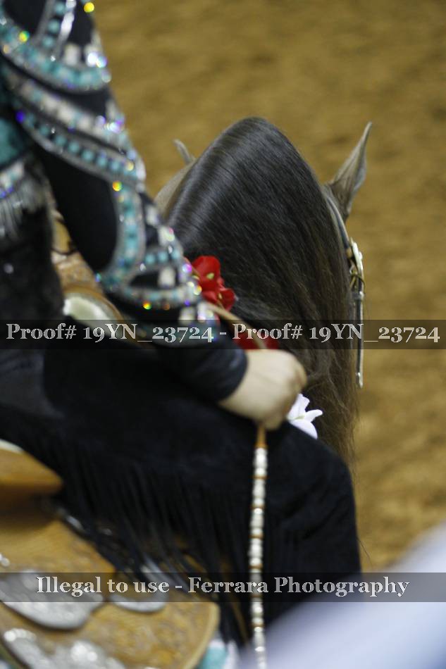 Proof 19YN_23724