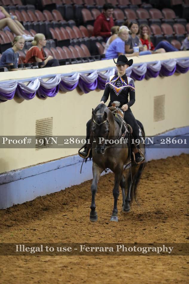 Proof 19YN_28601