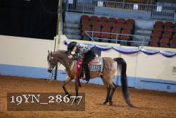 19YN_28677 proof