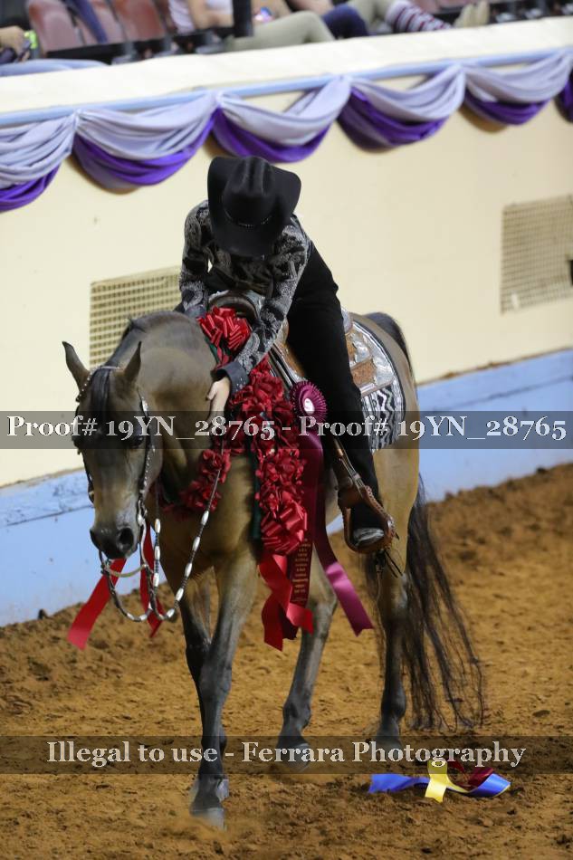 Proof 19YN_28765