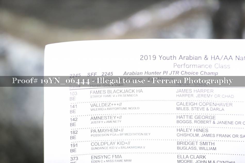 Proof 19YN_06444