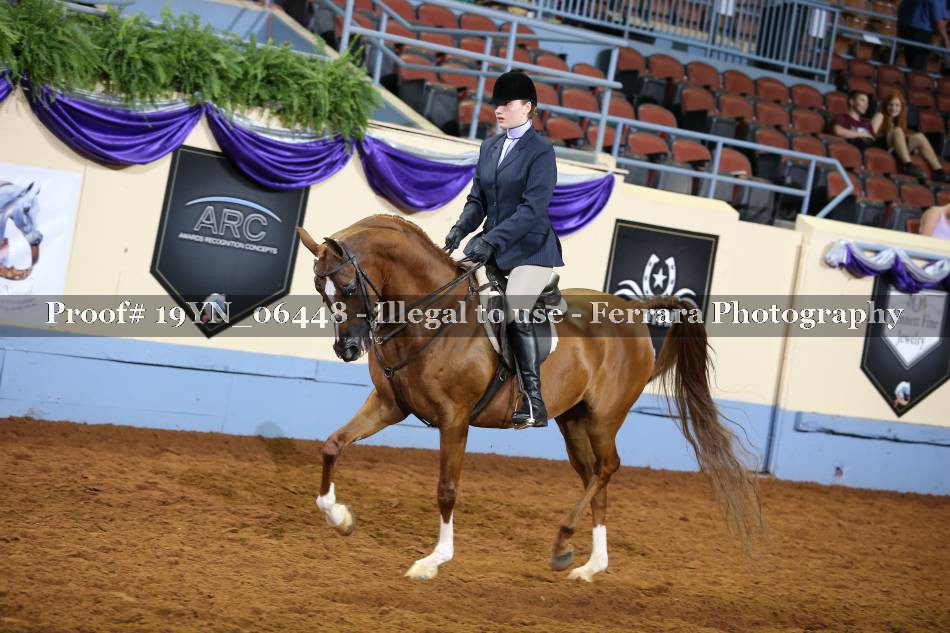 Proof 19YN_06448