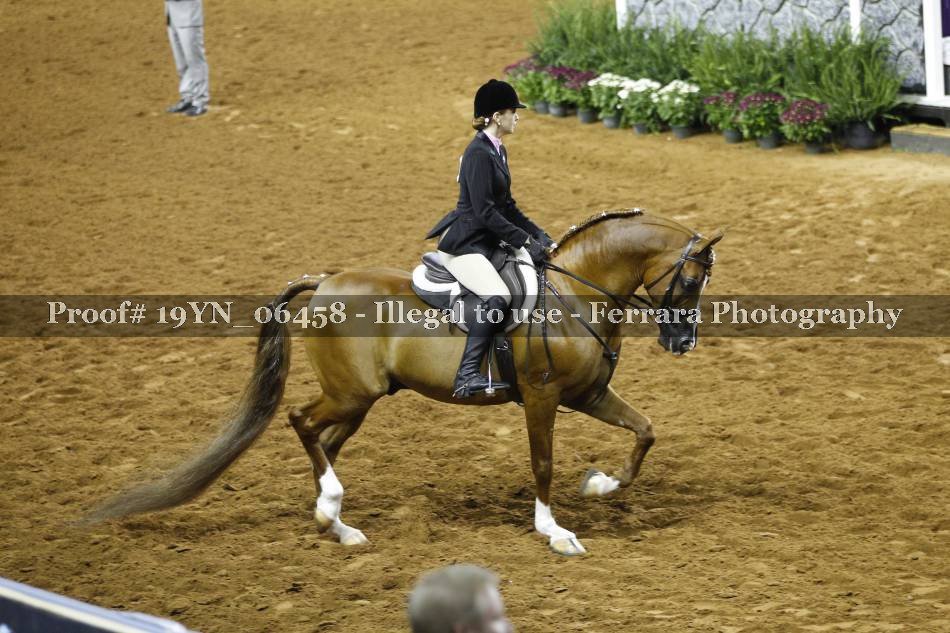 Proof 19YN_06458