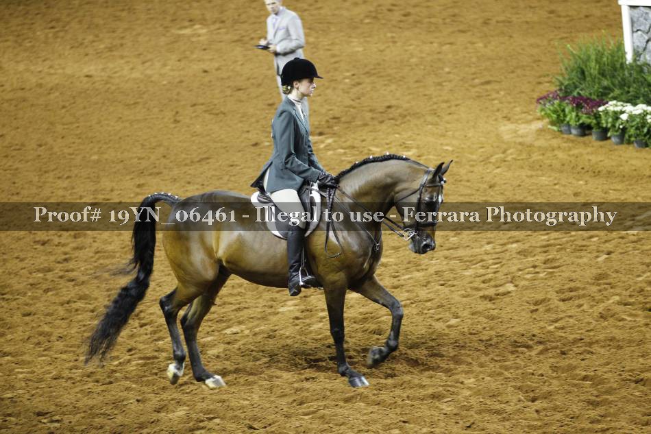 Proof 19YN_06461