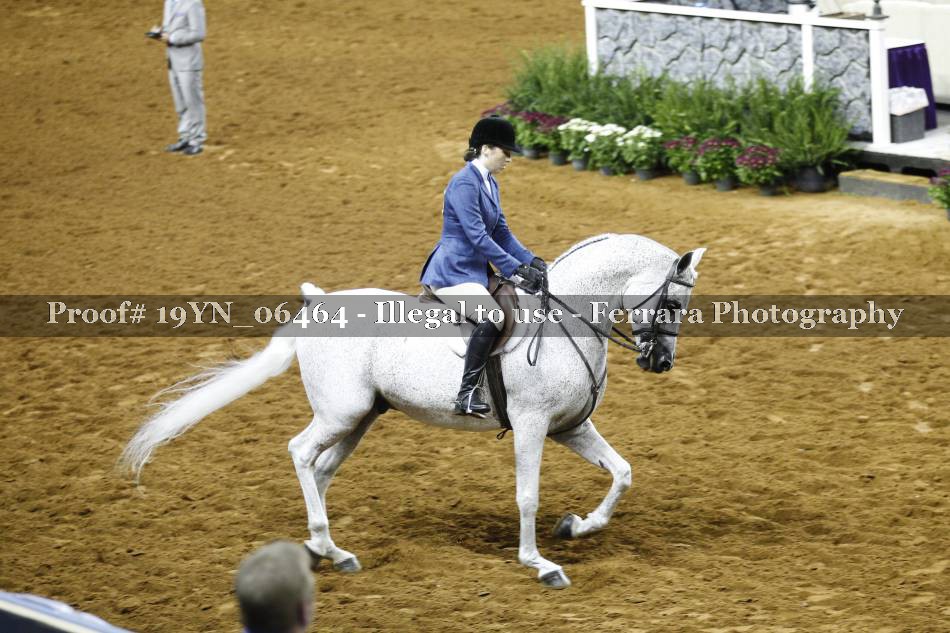 Proof 19YN_06464
