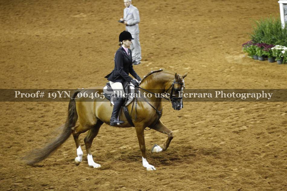 Proof 19YN_06465