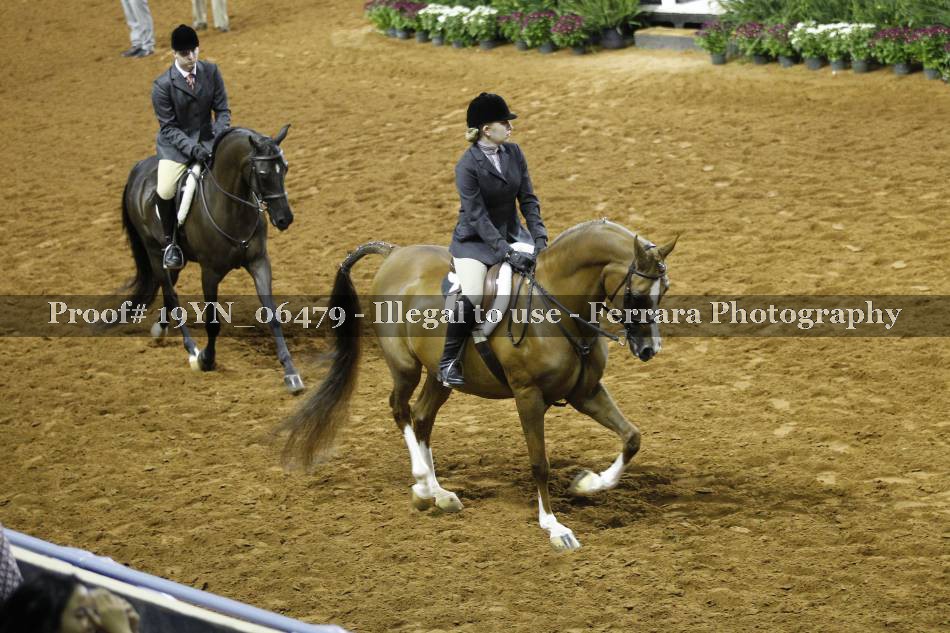 Proof 19YN_06479