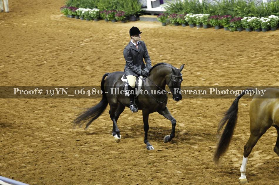 Proof 19YN_06480