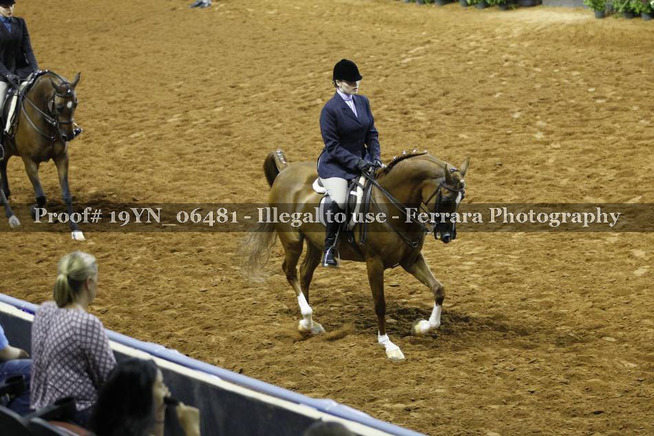 Proof 19YN_06481