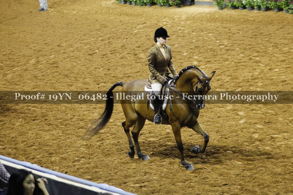 Proof 19YN_06482